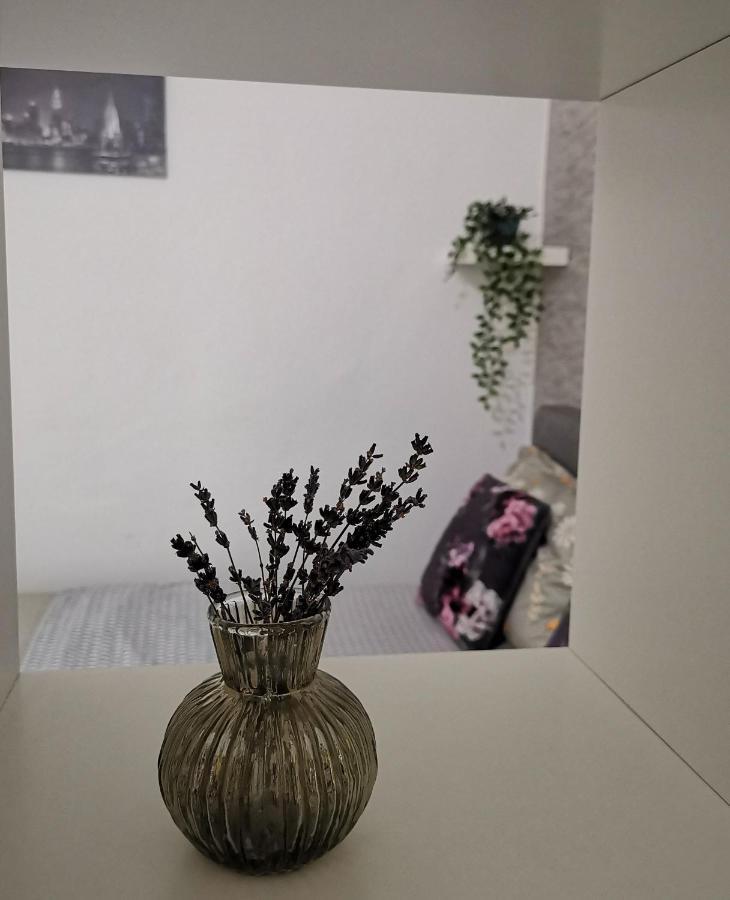 Sunset Bucharest Apartment Ngoại thất bức ảnh